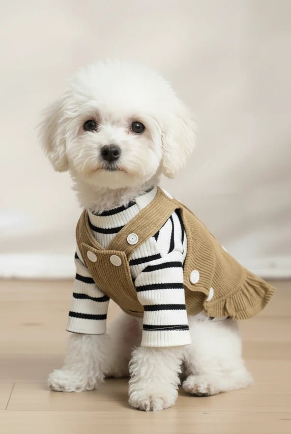 French Bulldog small dog dress Truffle corduroy bear brown cozy

