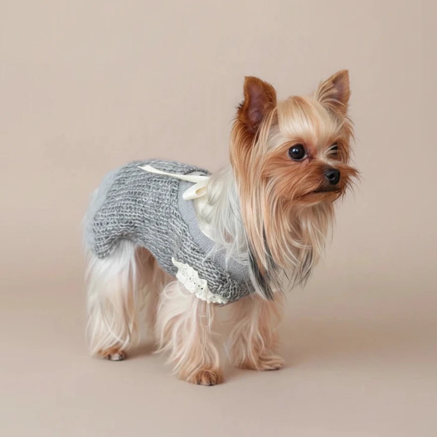 Pomeranian small dog sweater Coquette grey backless lace detail sweet
