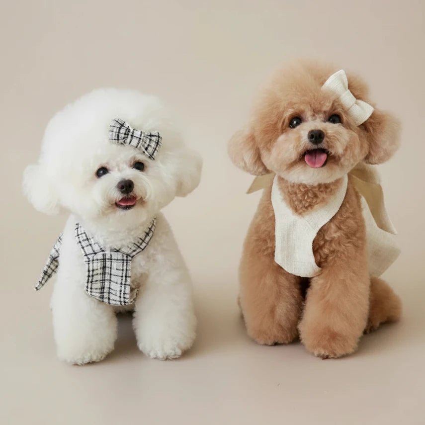 Small dog cotton dress Curtsy Bow cream and plaid backless bow matching
