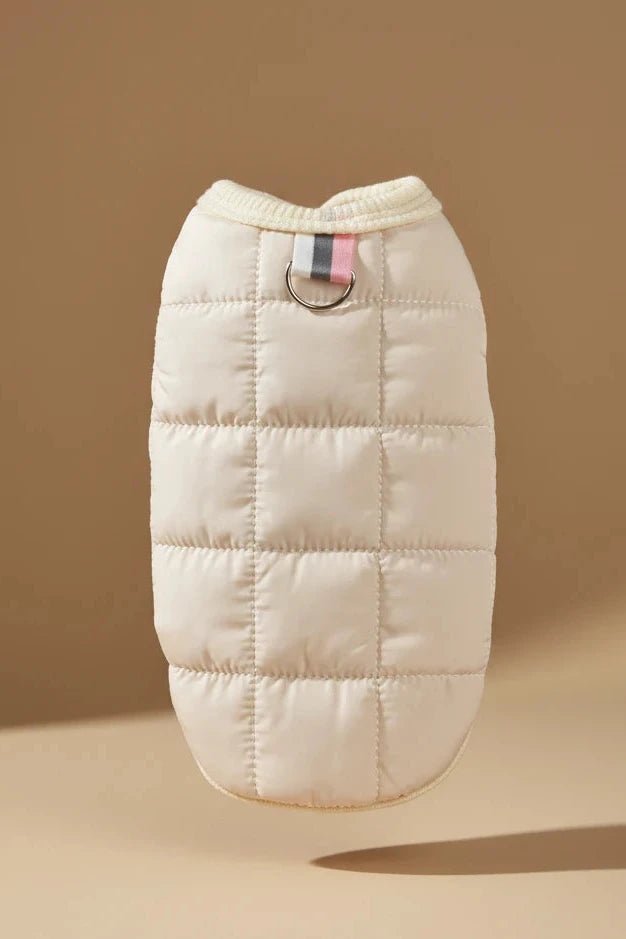 	“Cozy dog jacket, lightweight, windproof, and leash-ready”