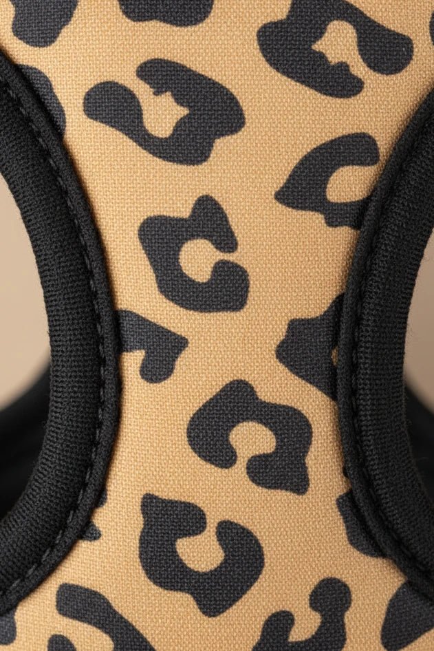 Savane Dog Harness, Collar & Leash Set- Leopard