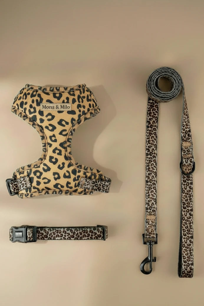 1.	Savane leopard dog harness, collar and leash set
	2.	Small dog wearing leopard print harness with matching collar and leash
	3.	Boutique leopard dog harness and collar set for everyday walks
	4.	Adjustable leopard dog harness, collar and leash for small dogs
	5.	Fashion dog harness set with leopard print design
