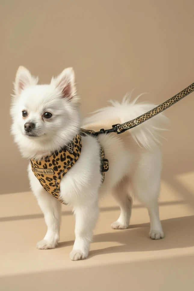 Savane Dog Harness, Collar & Leash Set- Leopard
