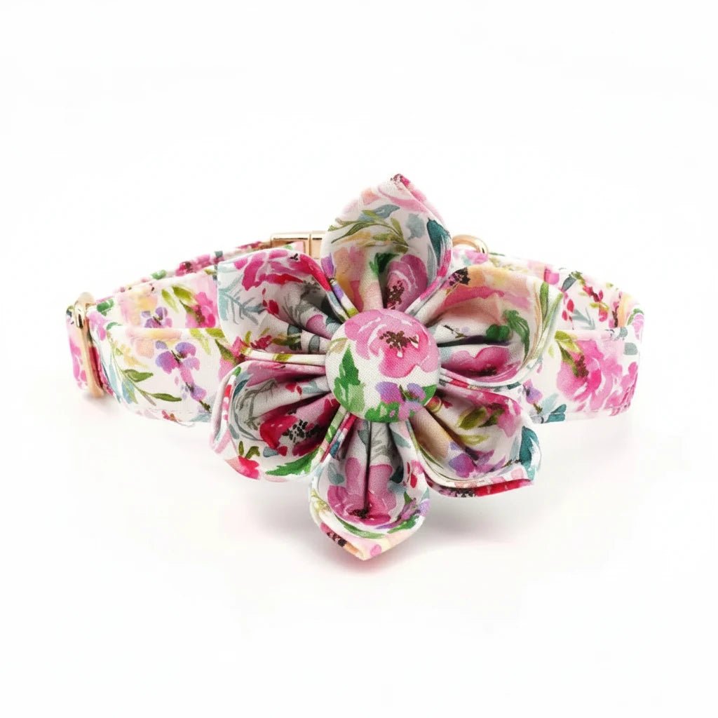 Rosie Dream Collar & Leash Set - Mona & Milo