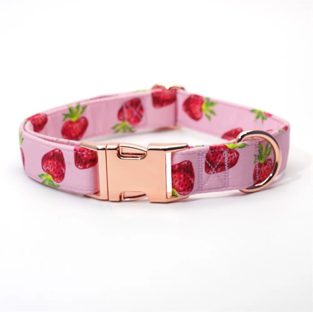 Mona & Milo Berry Belle dog collar and leash set featuring a colorful floral pattern and adjustable straps.