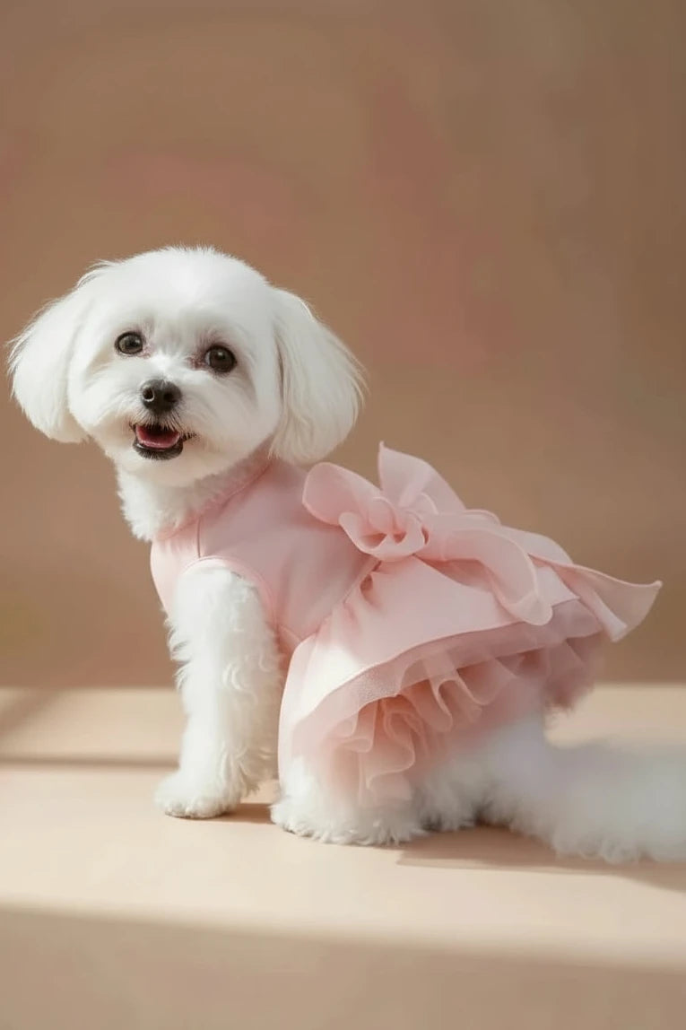 Jolie Dog Dress