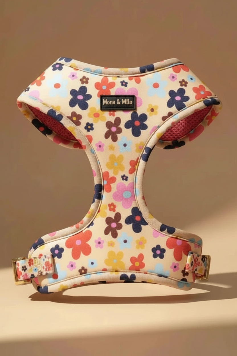 Small dog harness set for Yorkshire Terrier floral 6-piece with leash
