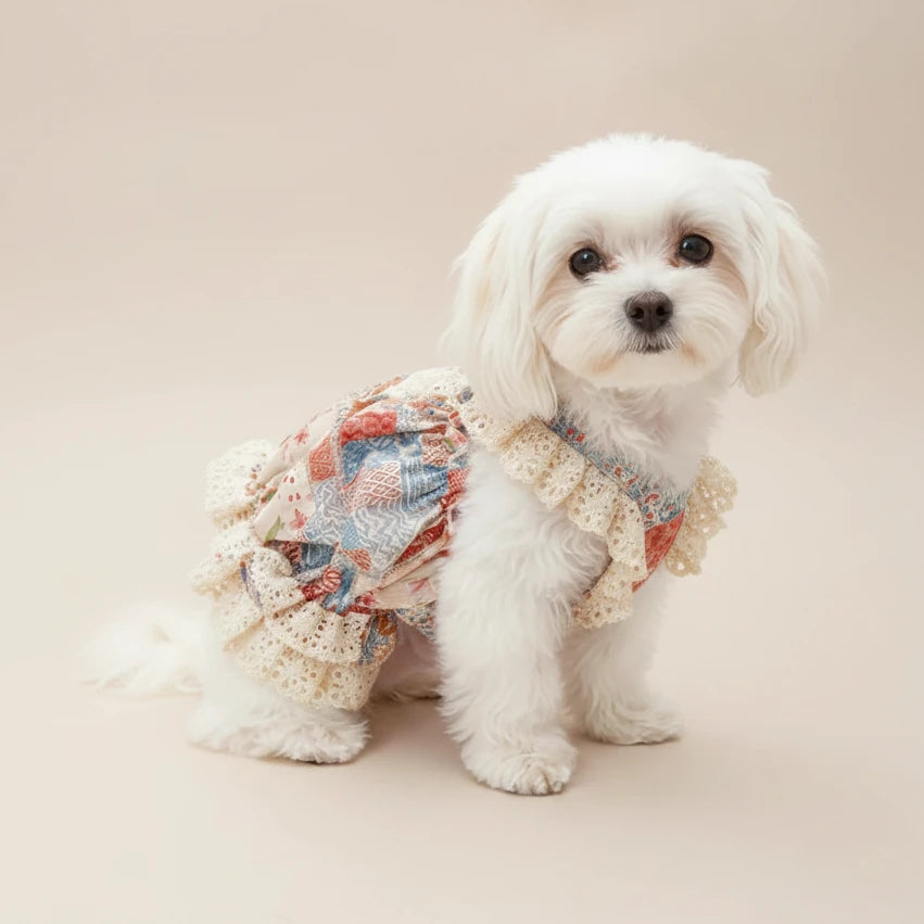 Mona & Milo Penelope patchwork cotton dress featuring a colorful, casual design with short sleeves and a relaxed fit.