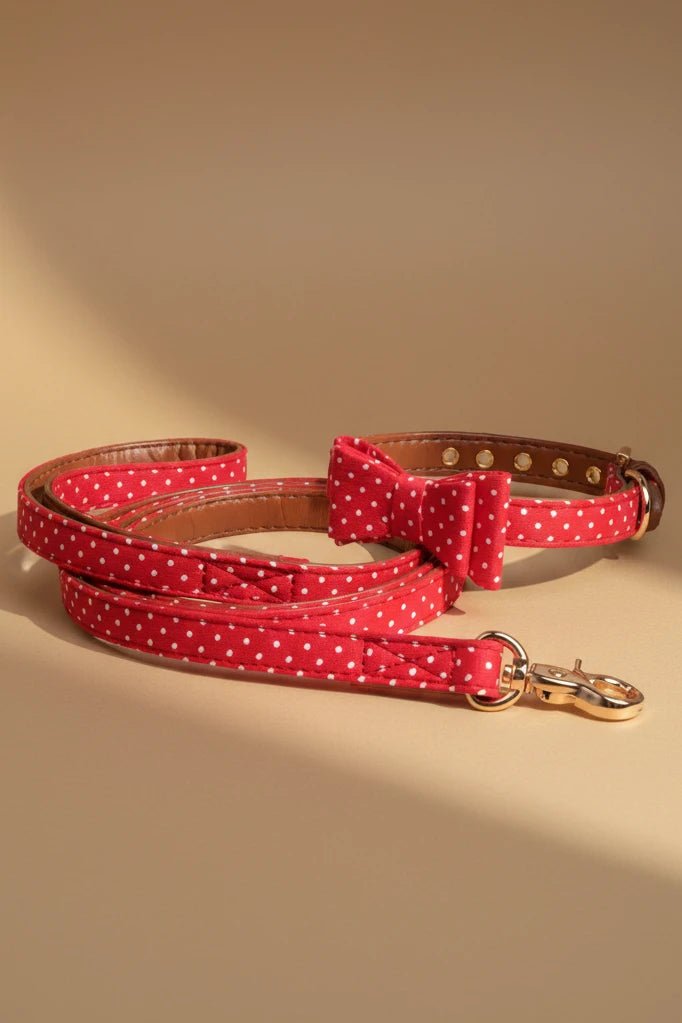 Elegant small dog res collar for Shih Tzu polka dot buckle detail
