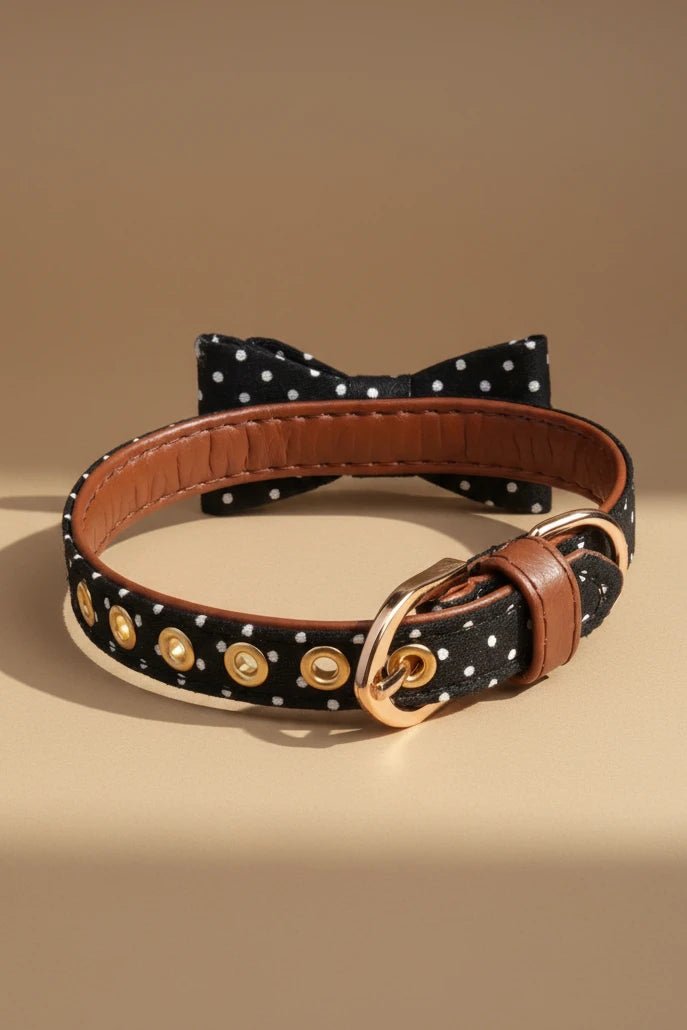 Beautiful small dog collar for Shih Tzu polka dot adjustable
