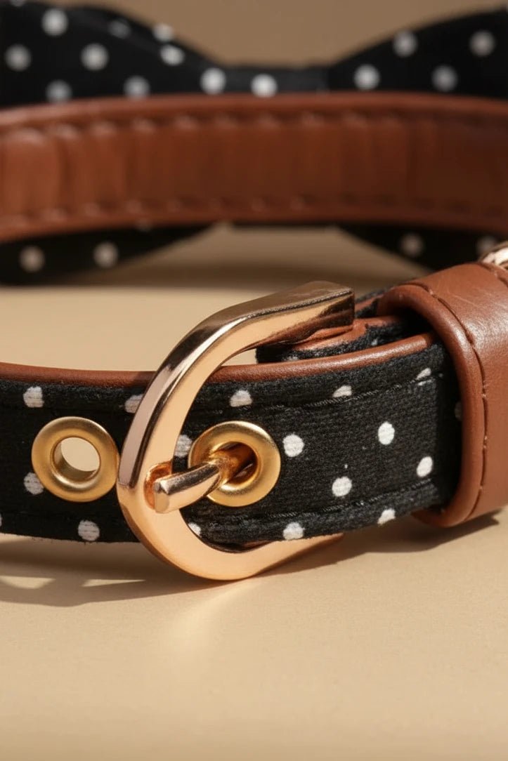 Adorable small dog collar set for Shih Tzu polka dot detail
