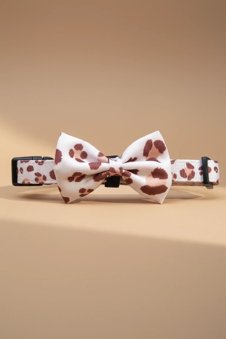 Small dog collar with bow leopard print with matching leash and collar
