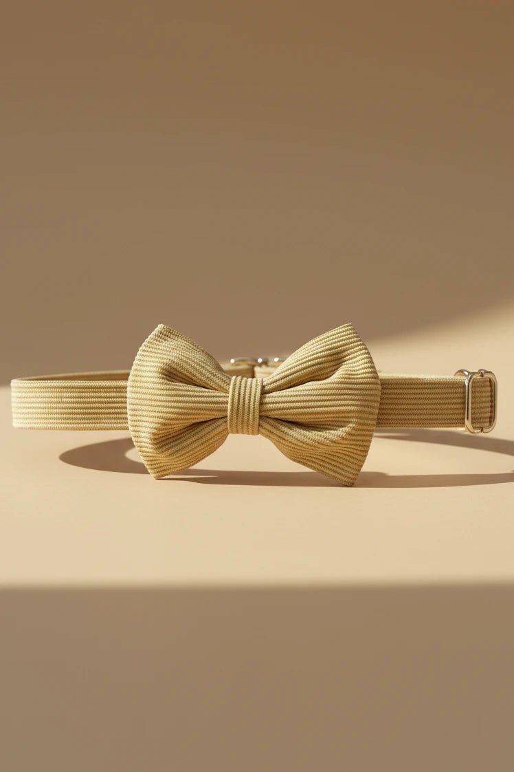 Mustard corduroy dog bow collar for Chihuahuas
