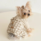Mona & Milo Cozbury checkered dress and jumpsuit, featuring a stylish pattern and modern designbackground.