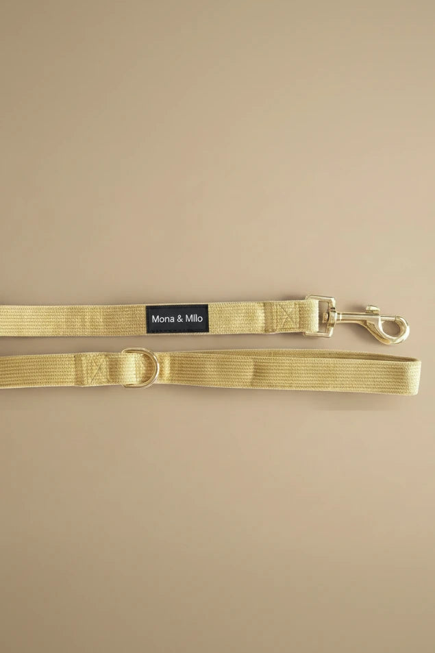 Small dogl leash mustard corduroy with matching leash and collar
