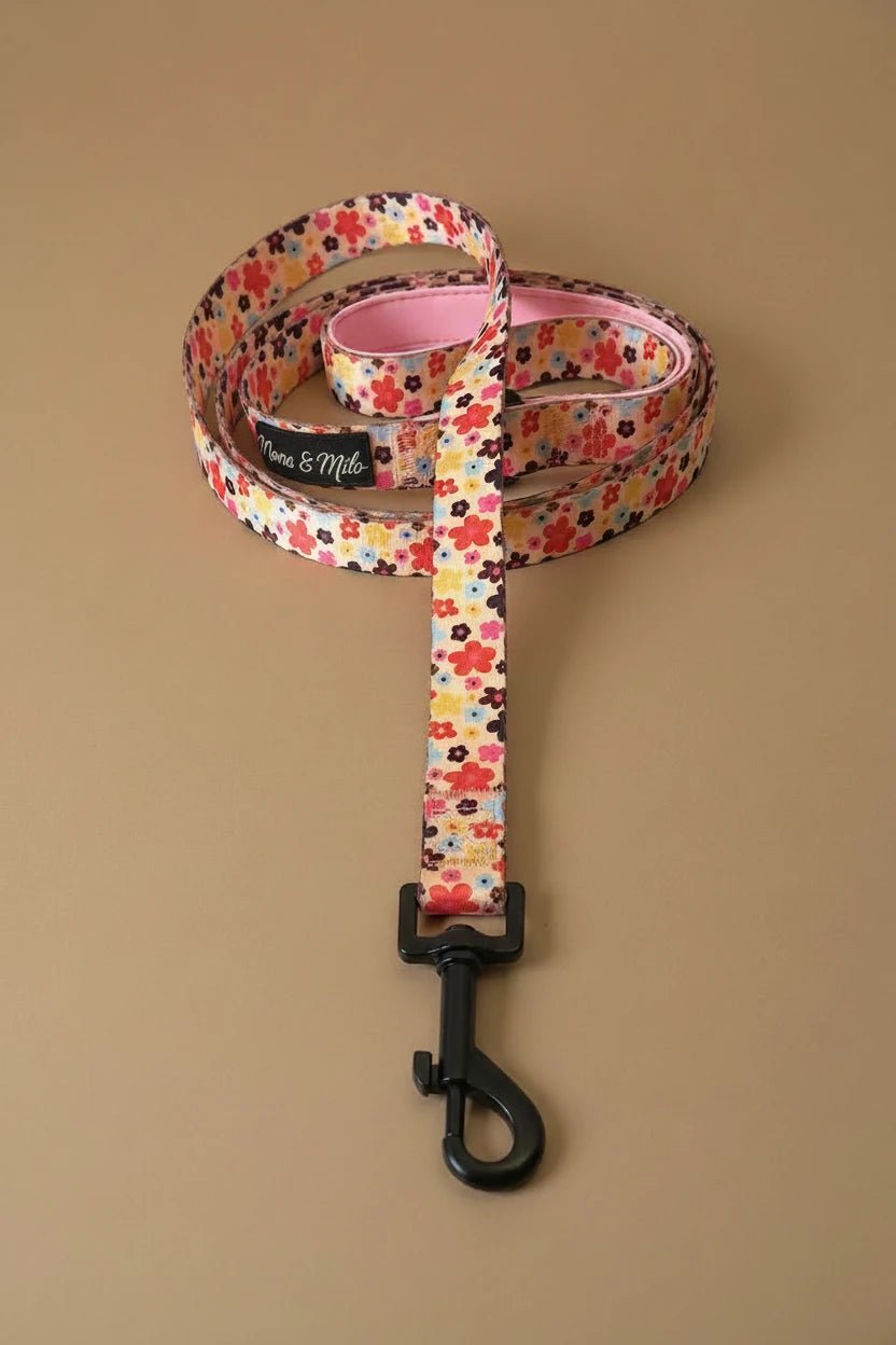 Small dog leash floral print with matching leash and collar

