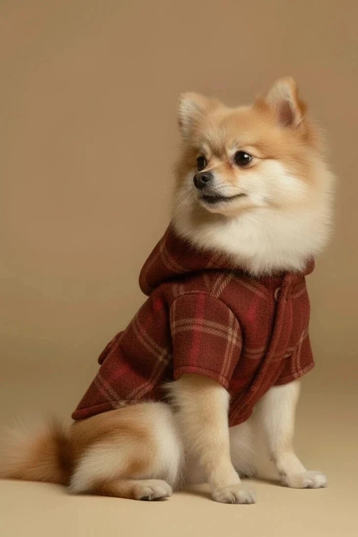 Le Plaid Vintage Dog Coat