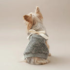Chihuahua small dog sweater Coquette grey open back lace bow chic
