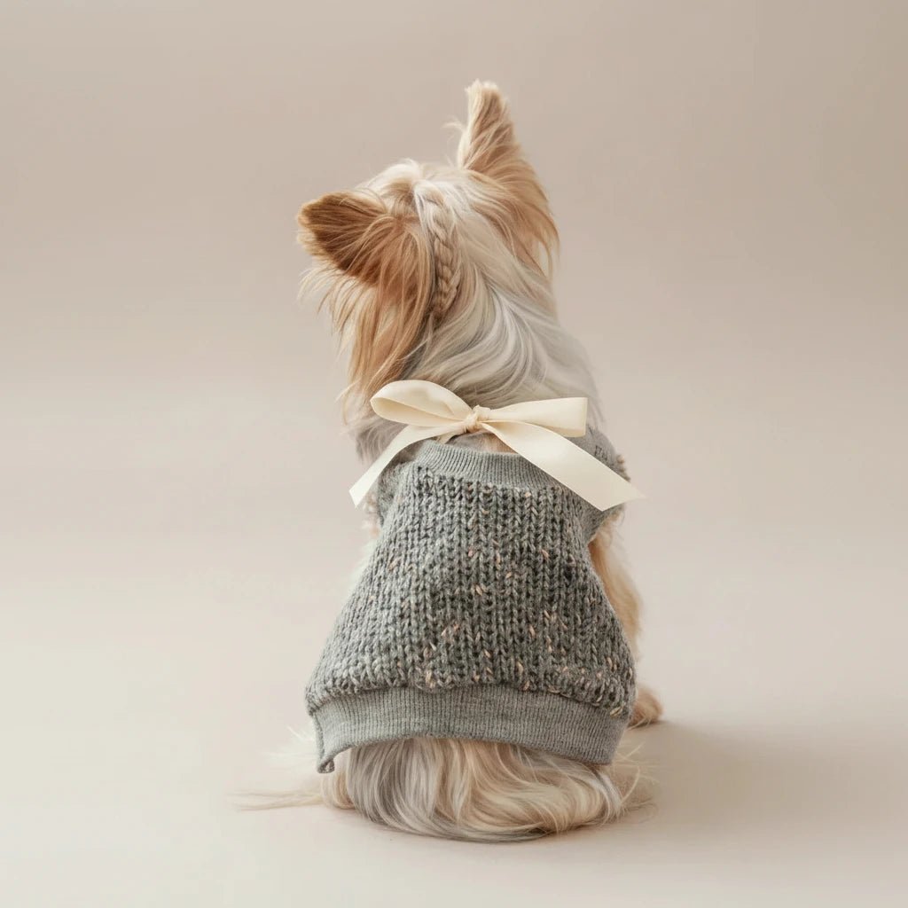 Chihuahua small dog sweater Coquette grey open back lace bow chic
