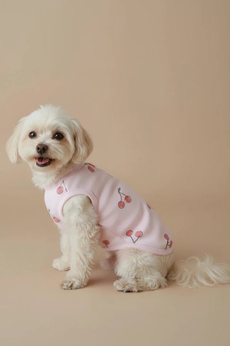 Yorkshire Terrier small dog cotton tee Cerise pink cherry print
