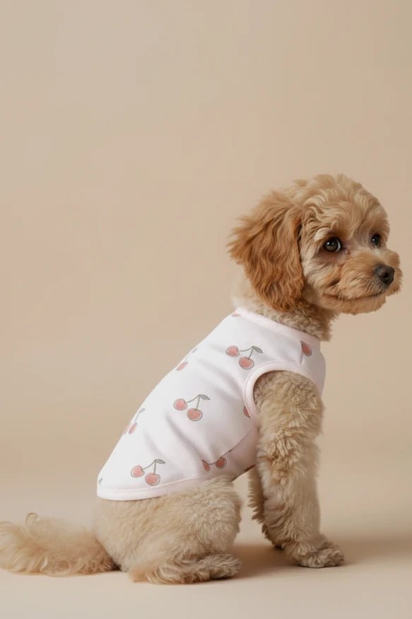 Chihuahua small dog cotton tee Cerise pink cherry print summer
