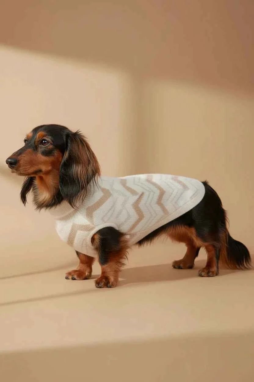 Nuage Dog Sweater