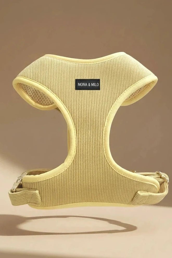 Small dog harness set for Chihuahua mustard corduroy 4-piece with leash
