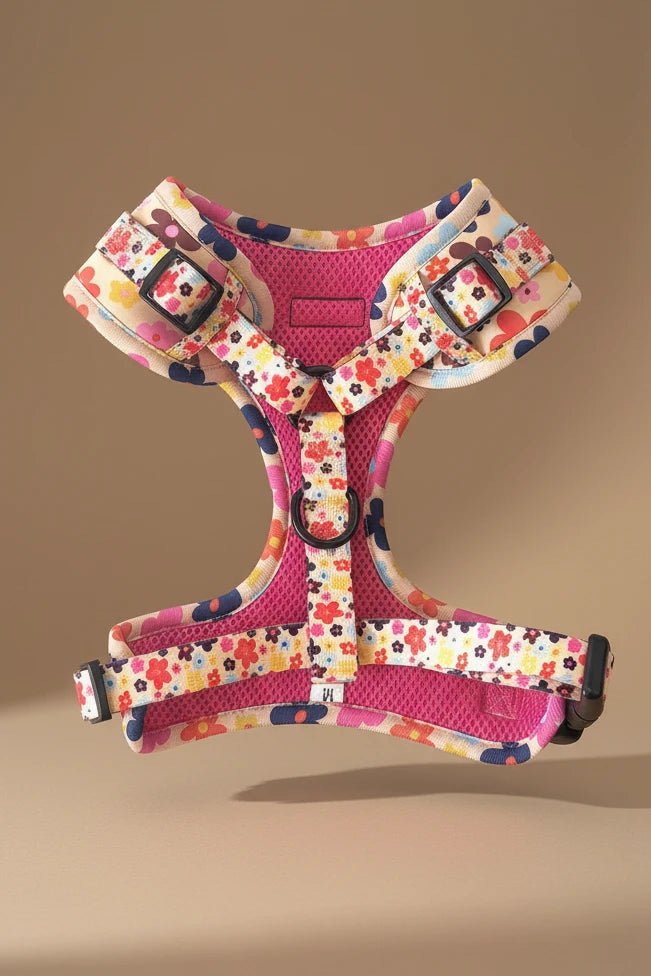 Floral print small dog harness Yorkshire Terrier size adjustable buckle
