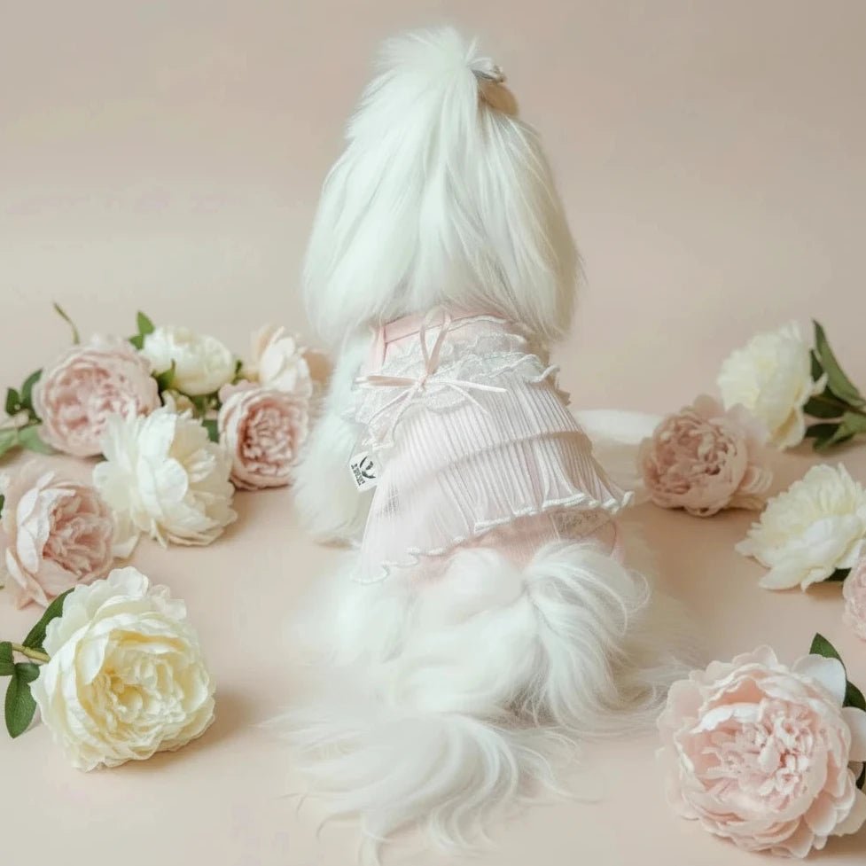Yorkshire Terrier small dog lace tank top Cloudberry soft salmon lace sweet
