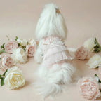 Yorkshire Terrier small dog lace tank top Cloudberry soft salmon lace sweet
