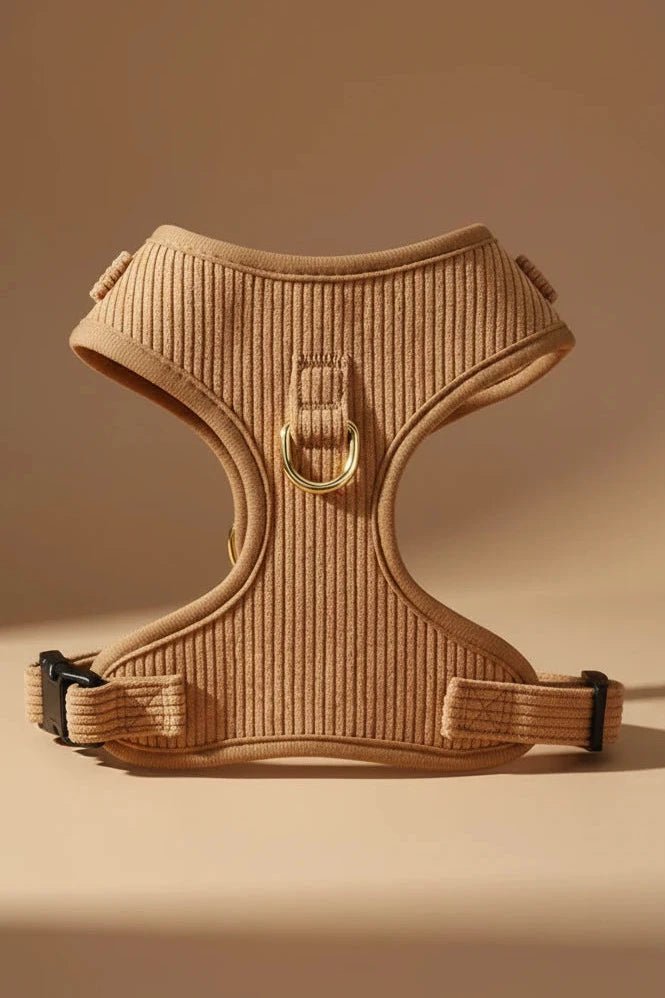 corduroy dog harness, for small dogs with gold buckle, padded pet walking set