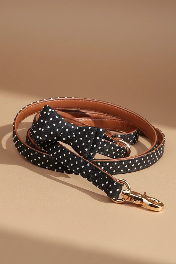 Elegant small dog collar set for Shih Tzu polka dot with leash
