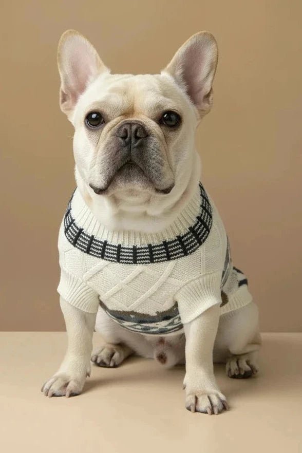 Beautiful small dog sweater for Pomeranian Nordic design detail
