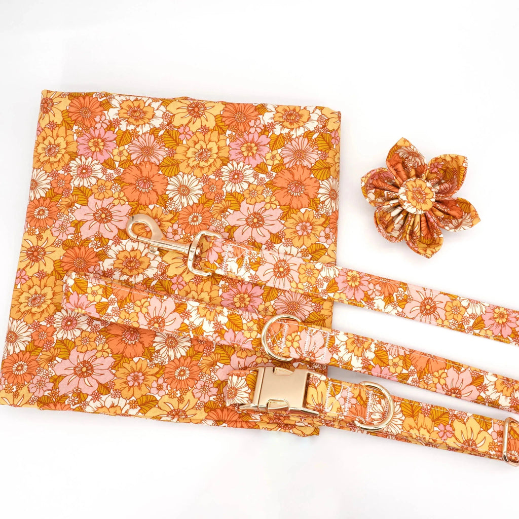 Amber Meadow Collar & Leash Set - Mona & Milo