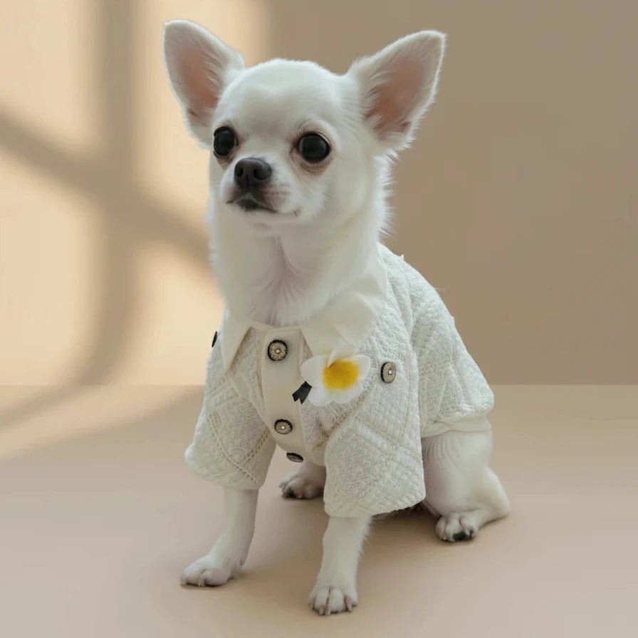 Mona & Milo Laurent Classy Shirt in crisp fabric, featuring a tailored fit, long sleeves, and a classic collar