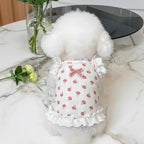 Mona & Milo Lottie Broderie Anglaise sleeveless top with intricate eyelet embroidery and delicate scalloped edges.