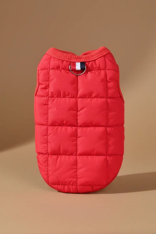 “Cozy dog jacket, lightweight, windproof, and leash-ready”