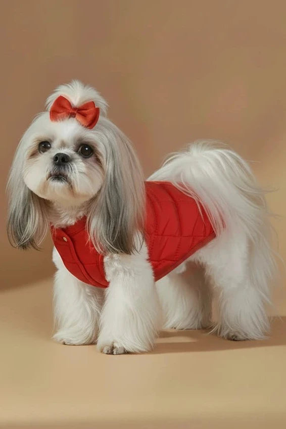 Petit Cozy Dog Jacket