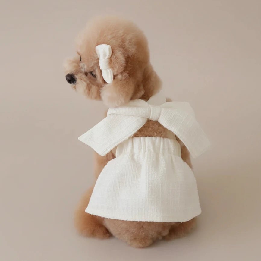 Yorkshire Terrier small dog cotton dress Curtsy Bow cream bow detail delicate
