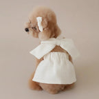 Yorkshire Terrier small dog cotton dress Curtsy Bow cream bow detail delicate
