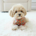 Mona & Milo Fiesta plaid shirt with red, green, and white checkered pattern, long sleeves, and classic collar.