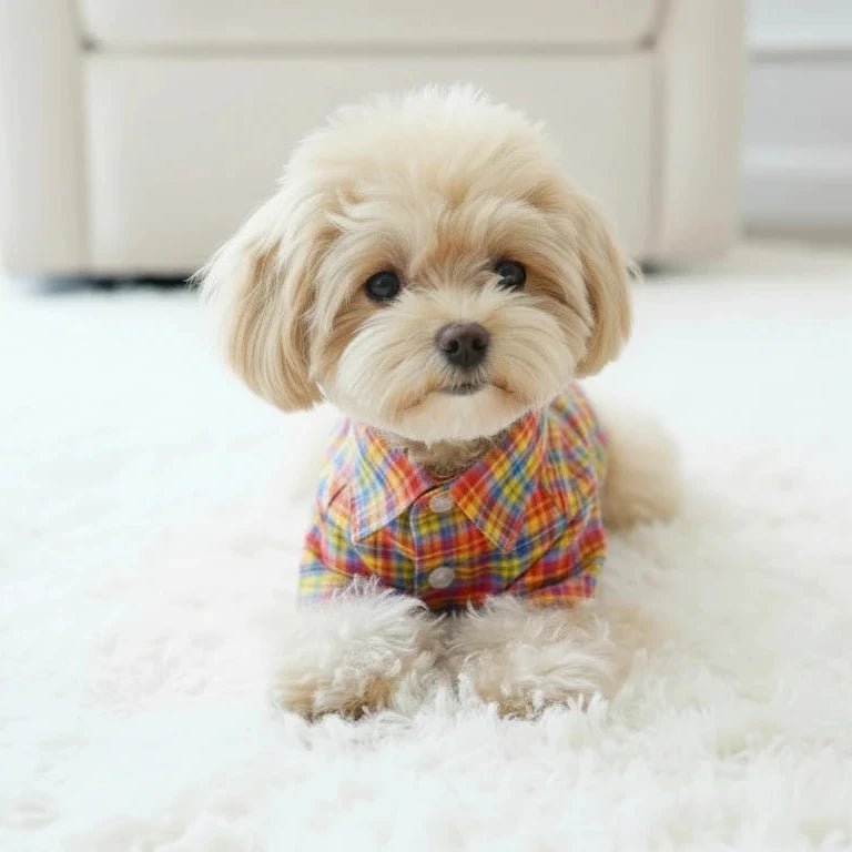 Mona & Milo Fiesta plaid shirt with red, green, and white checkered pattern, long sleeves, and classic collar.