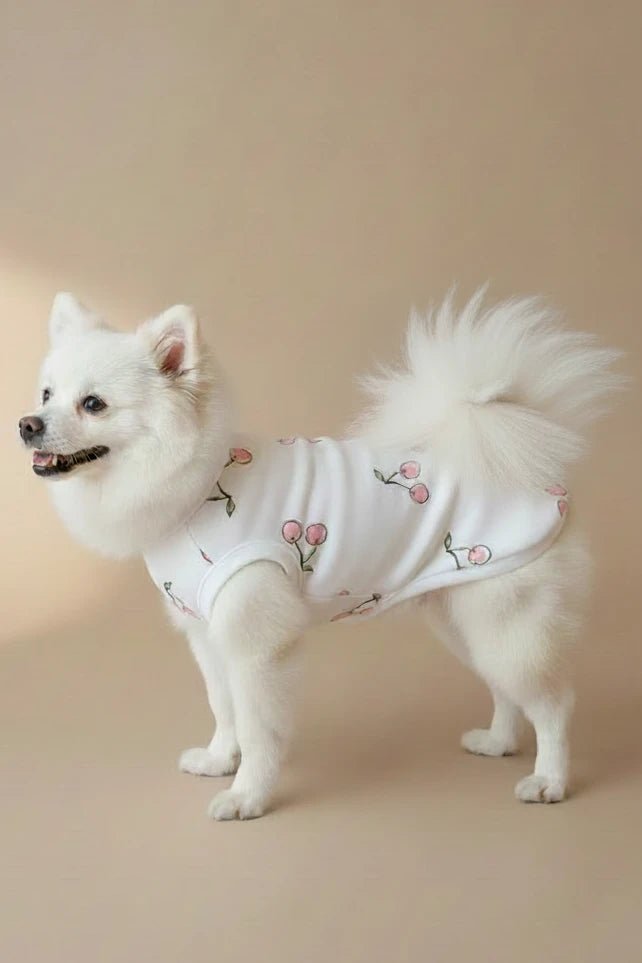 Pomeranian small dog cotton tee Cerise white cherry print garden
