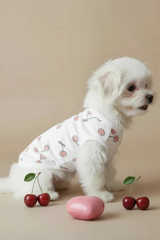 Chihuahua small dog cotton tee Cerise white cherry print summer
