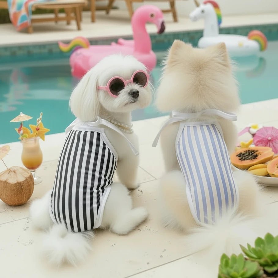 Chihuahua Yorkshire Terrier small dog swimsuit Splashbury dark blue light blue stripe