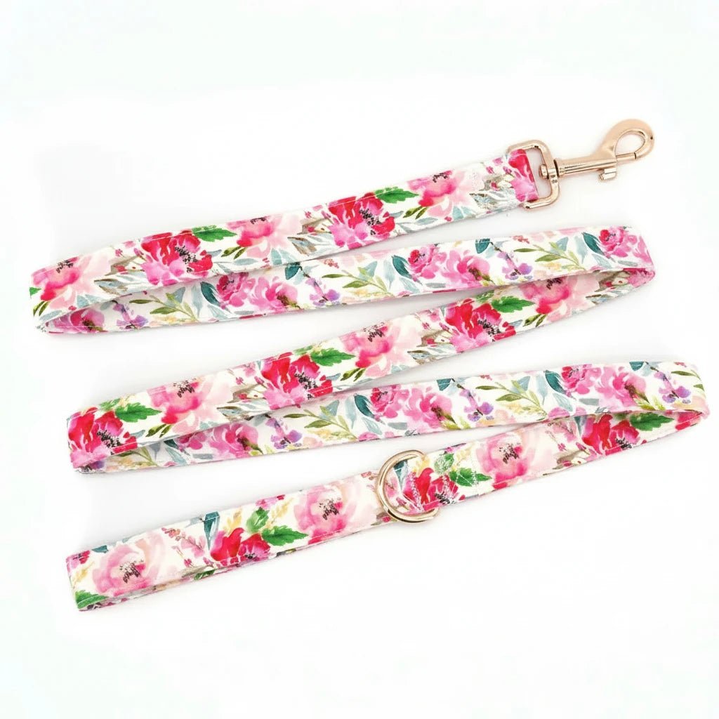 Rosie Dream Collar & Leash Set - Mona & Milo