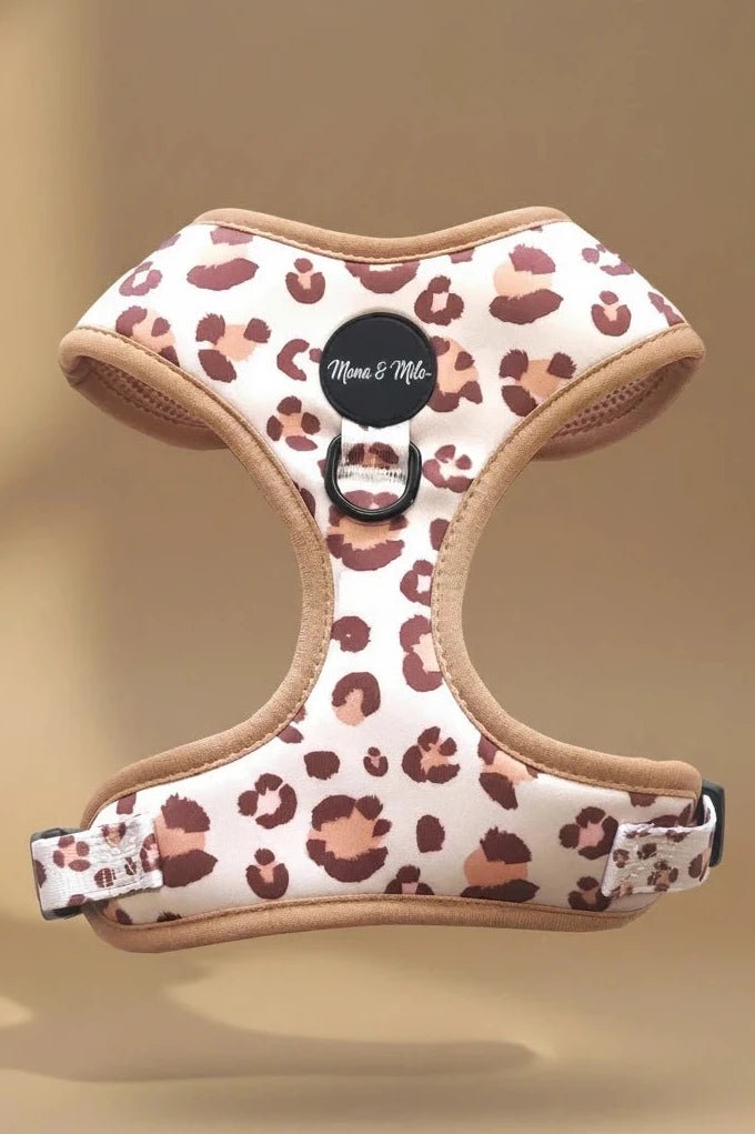 Small dog harness set for Pomeranian leopard print 6-piece with collar
