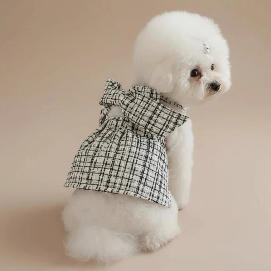 Chihuahua small dog cotton dress Curtsy Bow black white plaid adorable
