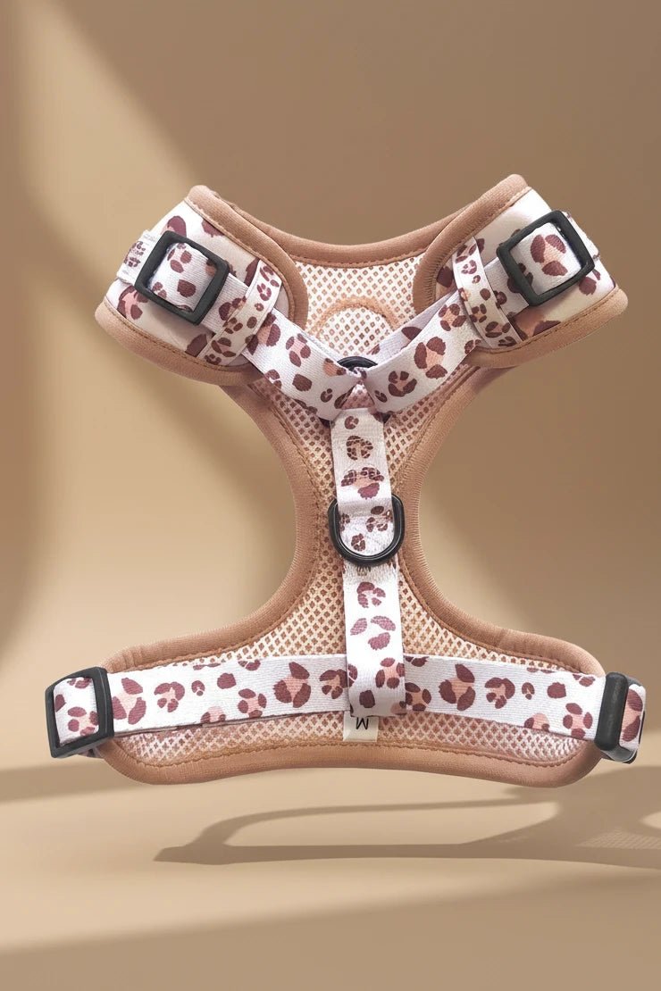 Pomeranian harness set leopard print 6-piece flat lay product
