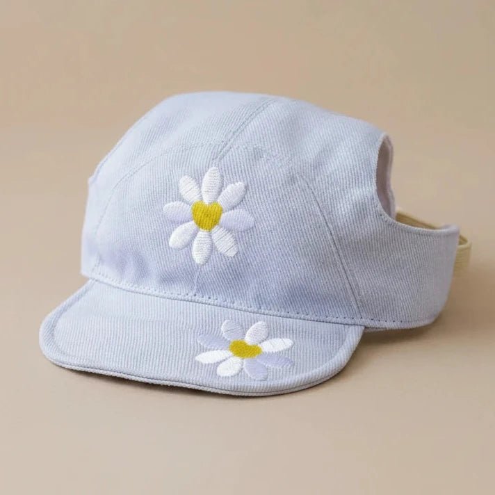 Chihuahua small dog cotton cap Daisling light blue daisy flower
